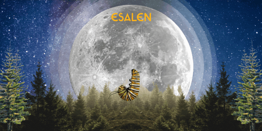 Esalen News November/December 2023