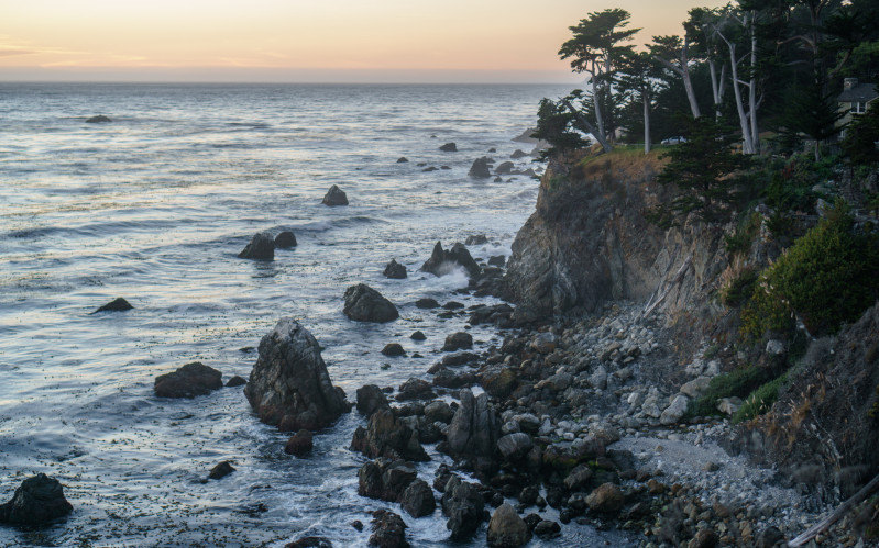 A photograph of rocky, tree-covered cliffs descending into the ocean.