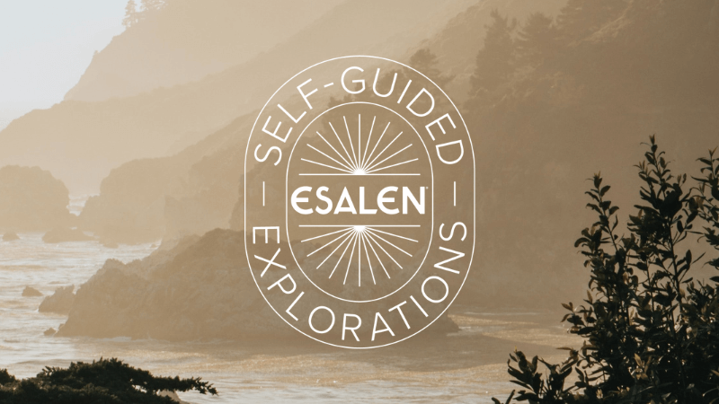 Self-Guided Explorations