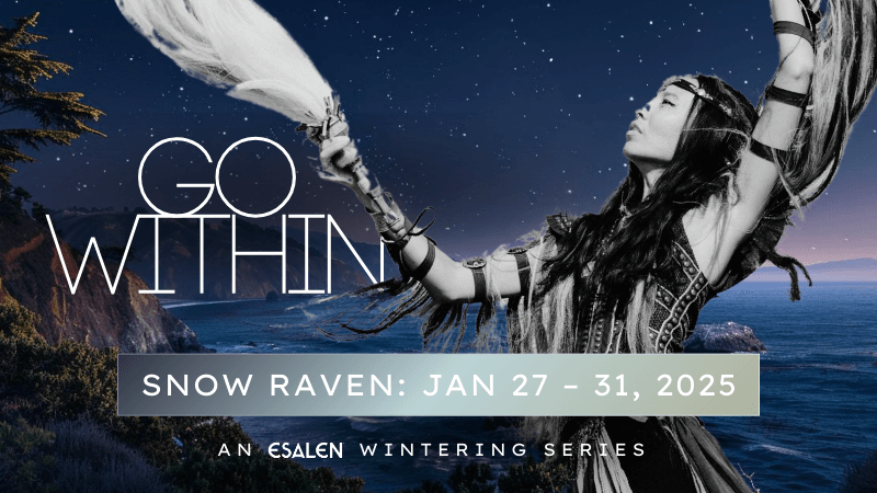 Snow Raven | Go Within: An Esalen Wintering Series, January 27–31, 2025