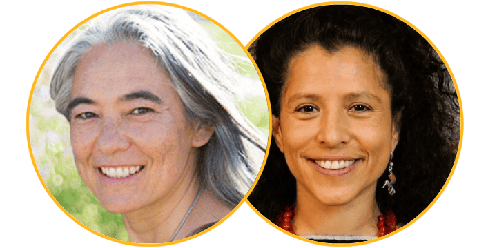 Prophecy of The Eagle and The Condor: Ancient Healing Ways for Modern Times